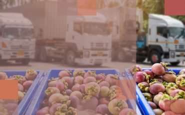 Copy - Copy - Untitled (1200×800 px) (1)