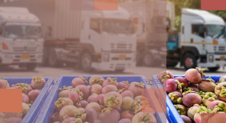 Copy - Copy - Untitled (1200×800 px) (1)